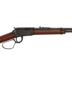 Henry 22LR Lever Action Rimfire Rifle with Large Loop