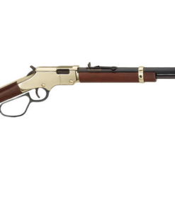 Henry Golden Boy 22 Caliber Lever Action Rifle with Large Loop